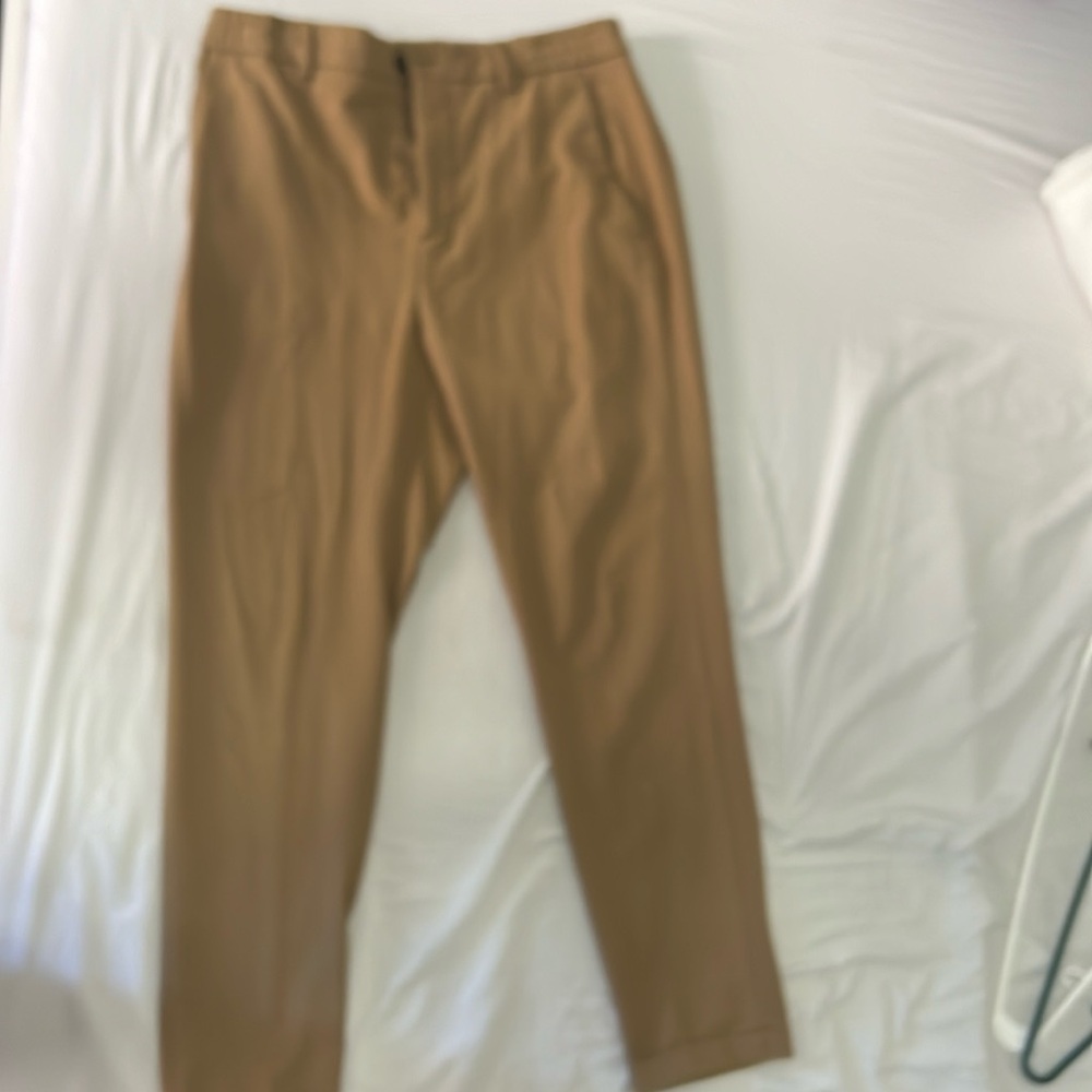 Zara jogger pants